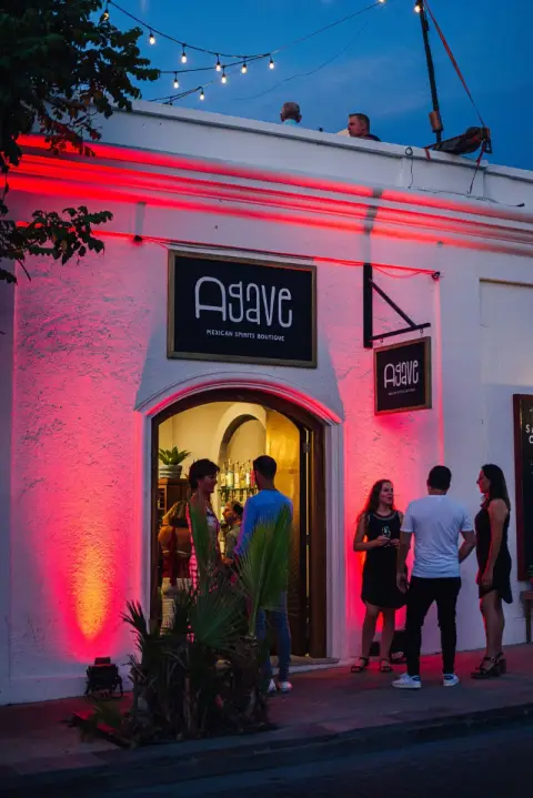 Agave Azul — private transfers from Los Cabos Airport