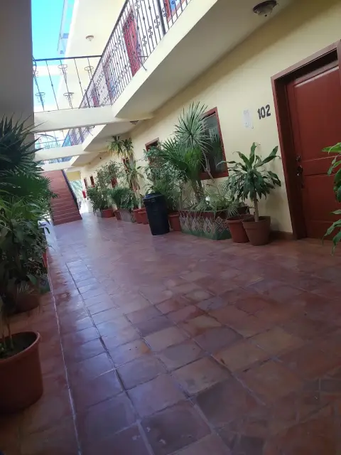 Cabo Cush — private transfers from Los Cabos Airport